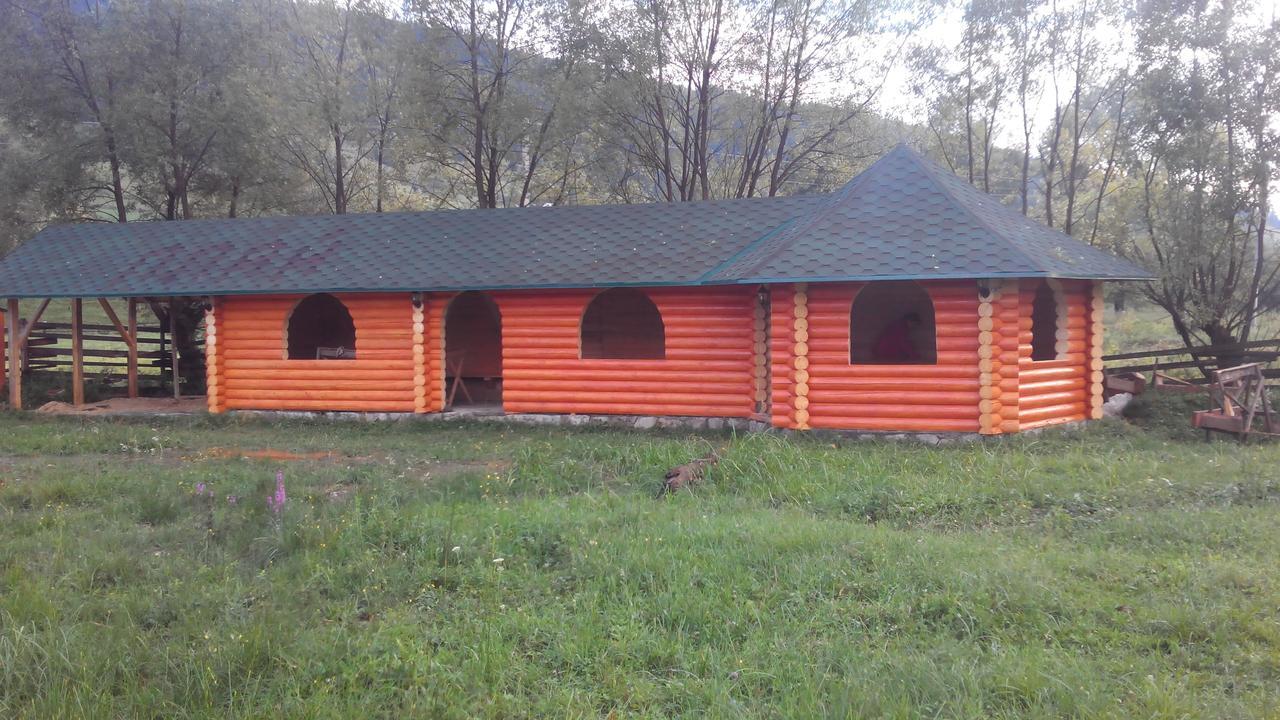 Villa Плай Werchowyna Exterior foto